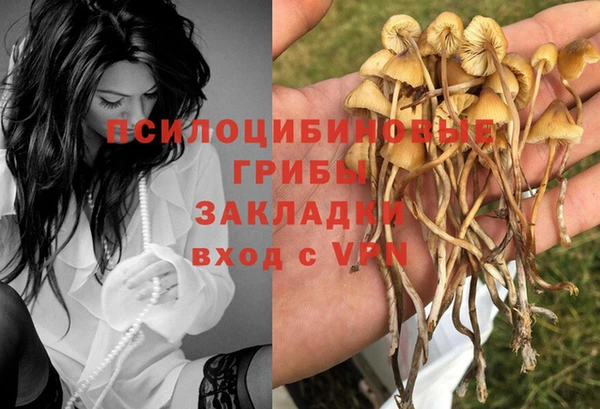 сатива Бородино