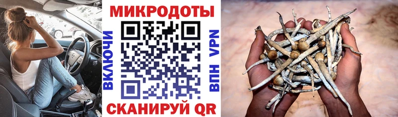 Галлюциногенные грибы прущие грибы  blacksprut ССЫЛКА  Калининск 